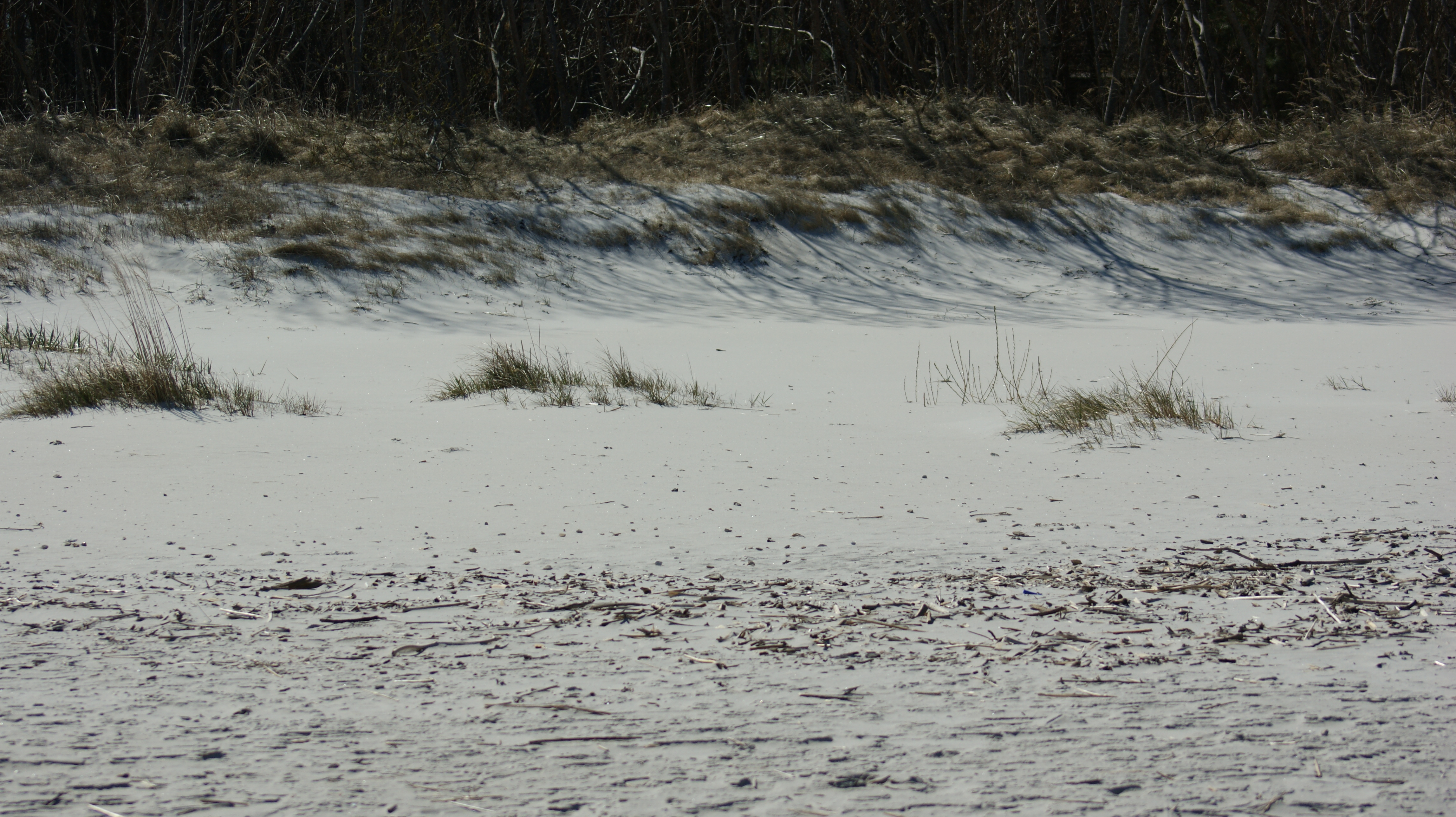 Jūrmala, Vaivari.