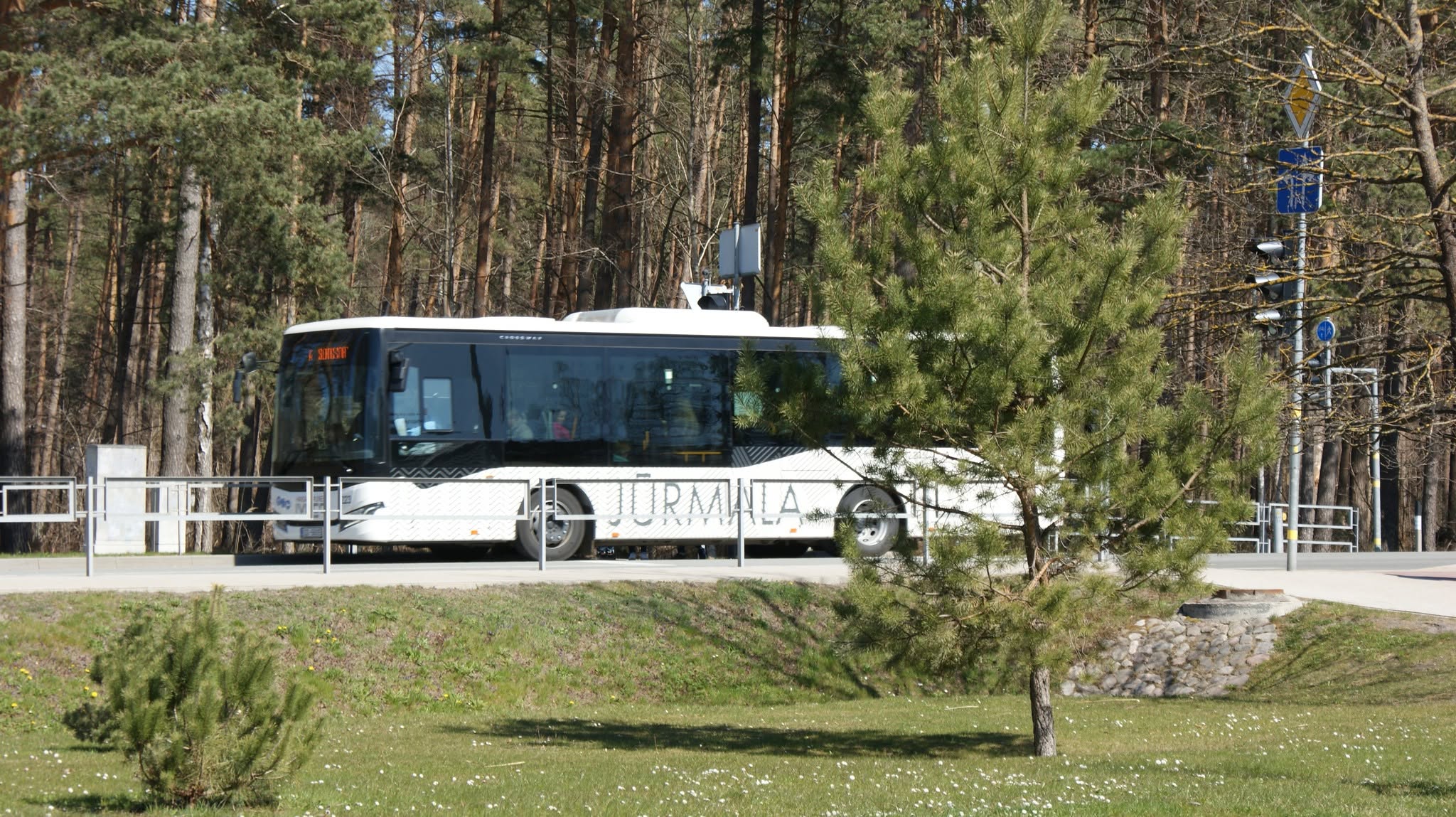 Jūrmala, Kauguri.